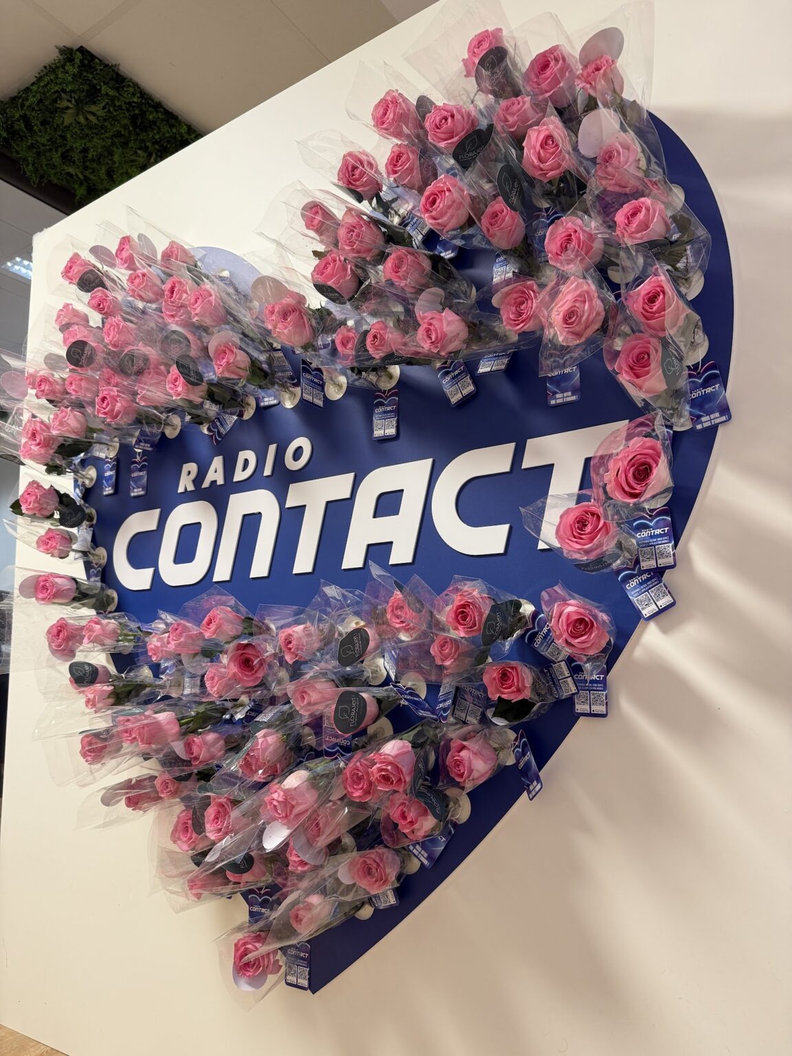 Street Marketing Saint-Valentin – Contact FM (Mur de Roses) — photo 2 — REDSHOT